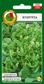 endywia-kedzierzawa-de-meaux-05g-wieloletnia-odporna-nasiona-pnos