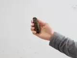 noz-benchmade-565-1-mini-freek-stan-nowy-marka-benchmade