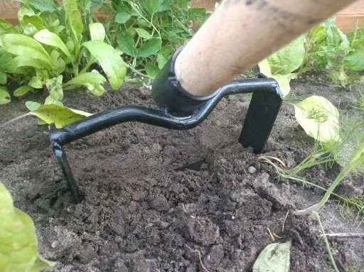 motyka-do-chwastow-duza