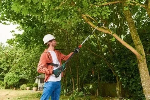 pila-bosch-universalchainpole-18-lancuch-gratis-stan-nowy-rodzaj-spiekowa