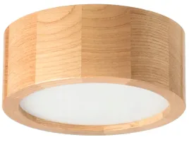 lampa-sufitowa-leja-plafon-fi200-dab-do-salonu-kuchni-lazienki-stylowa