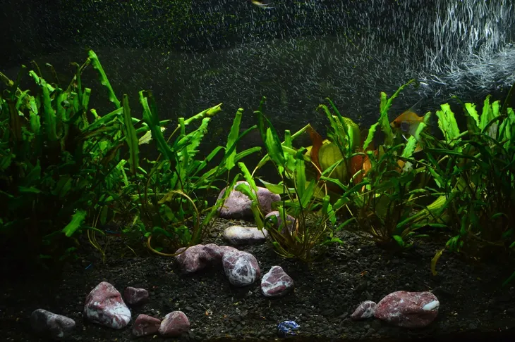 kamien-ozdobny-otoczak-czerwony-grecki-naturalny-piekny-2-4-cm-15-kg-marka-gawlik