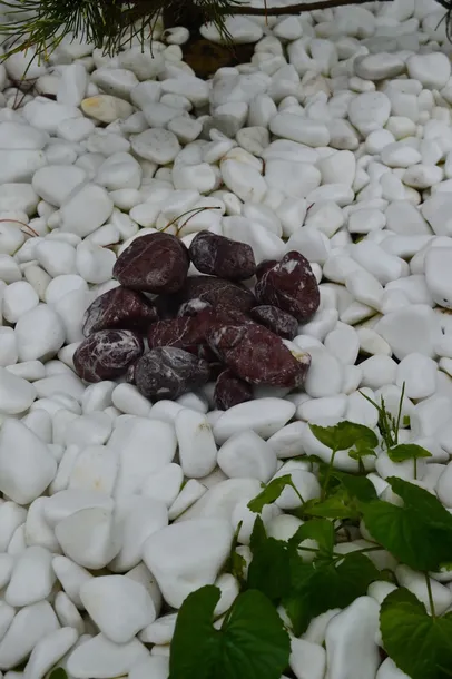 kamien-ozdobny-otoczak-czerwony-grecki-naturalny-piekny-2-4-cm-15-kg-stan-nowy-kod-producenta-rosso-verona-kamien-ogrodowy-otoczak-15