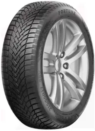 2x-fortune-nivalis-winter-pro-215-55-r17-98v-xl-rg-radom