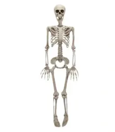 dekoracja-szkieletor-szkielet-halloween-90-cm-dekoracja-halloween-szkielet