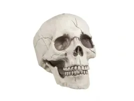 czaszka-na-halloween-21-cm-1-szt-halloween-ozdoba-dekoracja