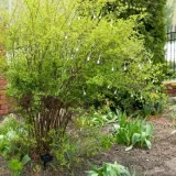 lampki-solarne-led-sople-ip65-65m-30led-zimny-bialy-marka-prosolux