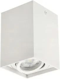 oprawa-natynkowa-halogenowa-tuba-led-ruchoma-gu10
