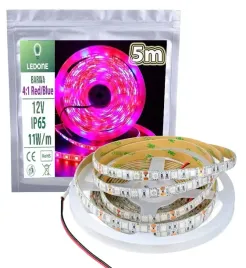 tasma-led-smd5050-hermetyczna-ip65-5m-4-1-roslinna-do-wzrostu-roslin-grow