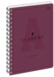 interdruk-academy-zeszyt-szkolny-kolozeszyt-noatnik-a4-100k-kratka
