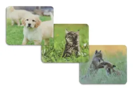 hama-animal-wielobarwny