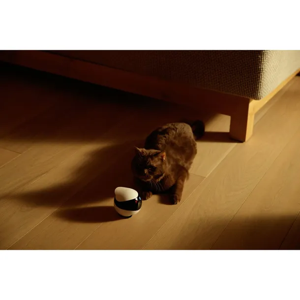 enabot-ebo-se-pet-surveillance-robot