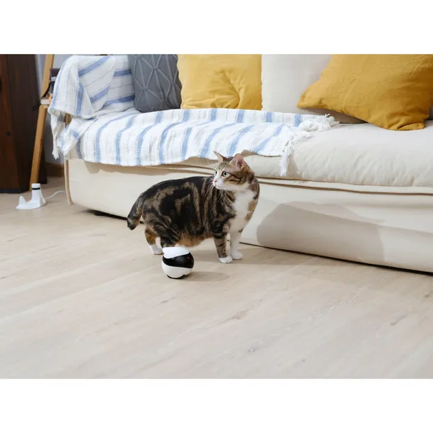 enabot-ebo-se-pet-surveillance-robot