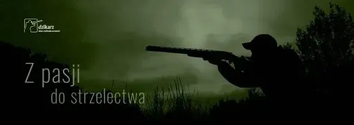 kolimator-holosun-hs510c