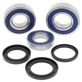 lozyska-kola-tylnego-z-uszczelniaczami-all-balls-yamaha-yzf-r1-15-18