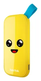 sandisk-sdssde30-1t00-g25f-zewnetrzny-dysk-ssd-1-tb-usb-type-c-3-2-gen-2