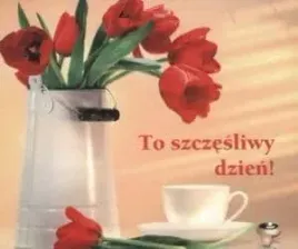 perelka-134-to-szczesliwy-dzien