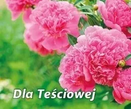 perelka-269-dla-tesciowej