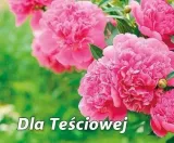 perelka-269-dla-tesciowej-stan-nowy