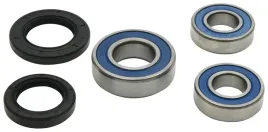 lozyska-kola-tylnego-z-uszczelniaczami-all-balls-bmw-g-310gs-18-19-trwale