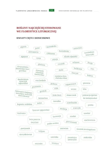 florysta-lagiewnicki-radzi-wydawnictwo-wydawnictwo-swietego-stanislawa-bm-biskupa-meczennika-archidiecezji-krakowskiej