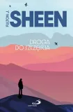 droga-do-szczescia-stan-nowy