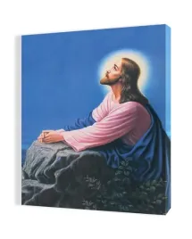 obraz-na-plotnie-50x70-jezus-w-ogrojcu-v-4