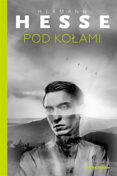 pod-kolami-stan-nowy
