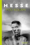 pod-kolami-stan-nowy