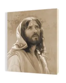 obraz-na-plotnie-35x50-jezus-chrystus
