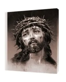 obraz-na-plotnie-50x70-jezus-w-koronie-cierniowej
