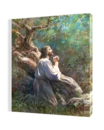 obraz-na-plotnie-50x70-jezus-w-ogrojcu