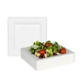 talerze-talerzyki-ekologiczne-z-pulpy-trzciny-cukrowej-kwadratowe-15x15-50