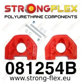 wkladki-lewej-dolnej-poduszki-silnika