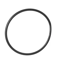oring-uszczelka-do-korpusow-atlas-filtri-10-cali