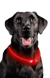 obroza-swiecaca-led-dla-psa-kota-uniwersalny-rozmiar-ladowalna-71cm-red