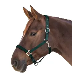 kantar-podszyty-waldhausen-satin-ciemnozielony-pony