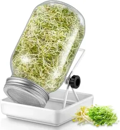 kielkownik-sloik-do-kielkowania-pojemniczek-kielkownica-z-siatka-filtrujaca