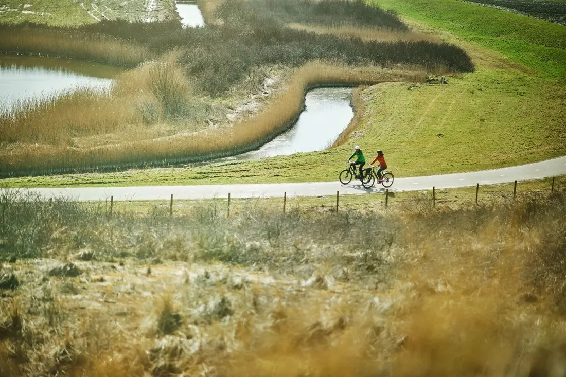 chwyty-rowerowe-ergon-gp5-s