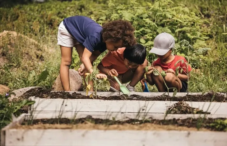 fiskars-zestaw-narzedzi-solid-4-sekator-p321-stan-nowy-waga-z-opakowaniem-0-99-kg