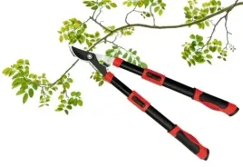 sekator-do-konarow-teleskopowy-650-900-mm-yato