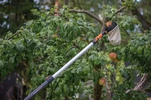 zbierak-do-owocow-wenko-marka-maan-stan-nowy