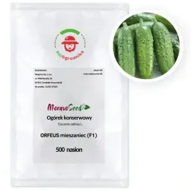 ogorek-orfeus-f1-partenokarpiczny-500-nasion-bez-goryczki-profi-wegana