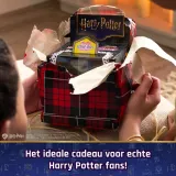 wizarding-world-wwo-ina-bitzeeint-wizardingworld-gml