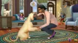 the-sims-4-psy-i-koty-pc-prezent-gra-wydawca-inny-stan-nowy
