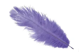 pioro-strusia-strus-fioletowe-fiolet-30-cm-1-szt