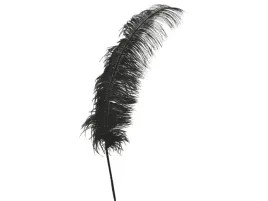 pioro-strusia-strus-czarne-czarny-60-cm-1-szt
