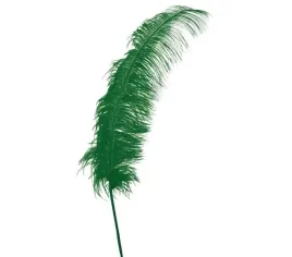 pioro-strusia-strus-zielone-zielony-63-cm-1-szt