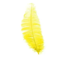 pioro-strusia-strus-zolte-zolty-30-cm-1-szt