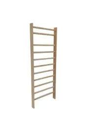 drabinka-gimnastyczna-standard-220x80-cm